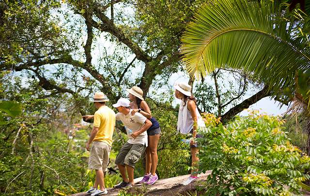 Actividades en el Resort