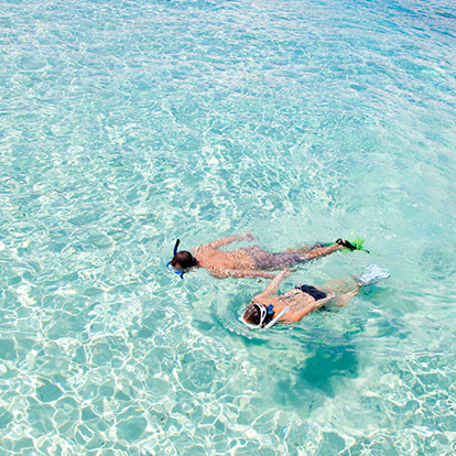 Snorkel
