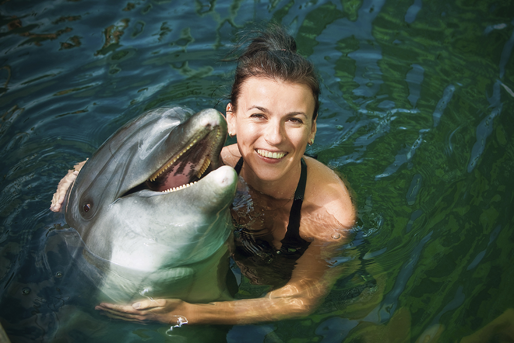 What to expect when you go to swim with dolphins in Puerto Vallarta