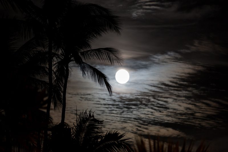 Tropical Moonlight at Garza Blanca