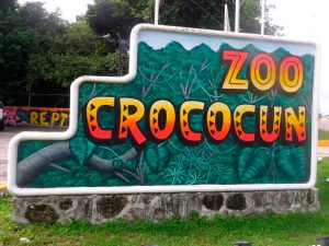 Things to do in Riviera Maya: Crococun Zoo