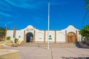 Visit the Museum of Natural History in Cabo San Lucas