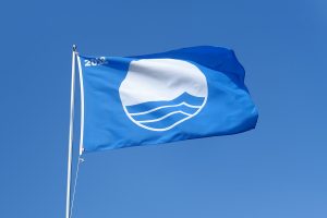 What That Blue Flag Means for You