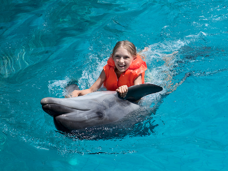 Vacaciones en Los Cabos, nado con Delfines