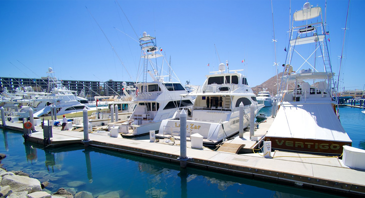 Cabo San Lucas and its Famed Marina