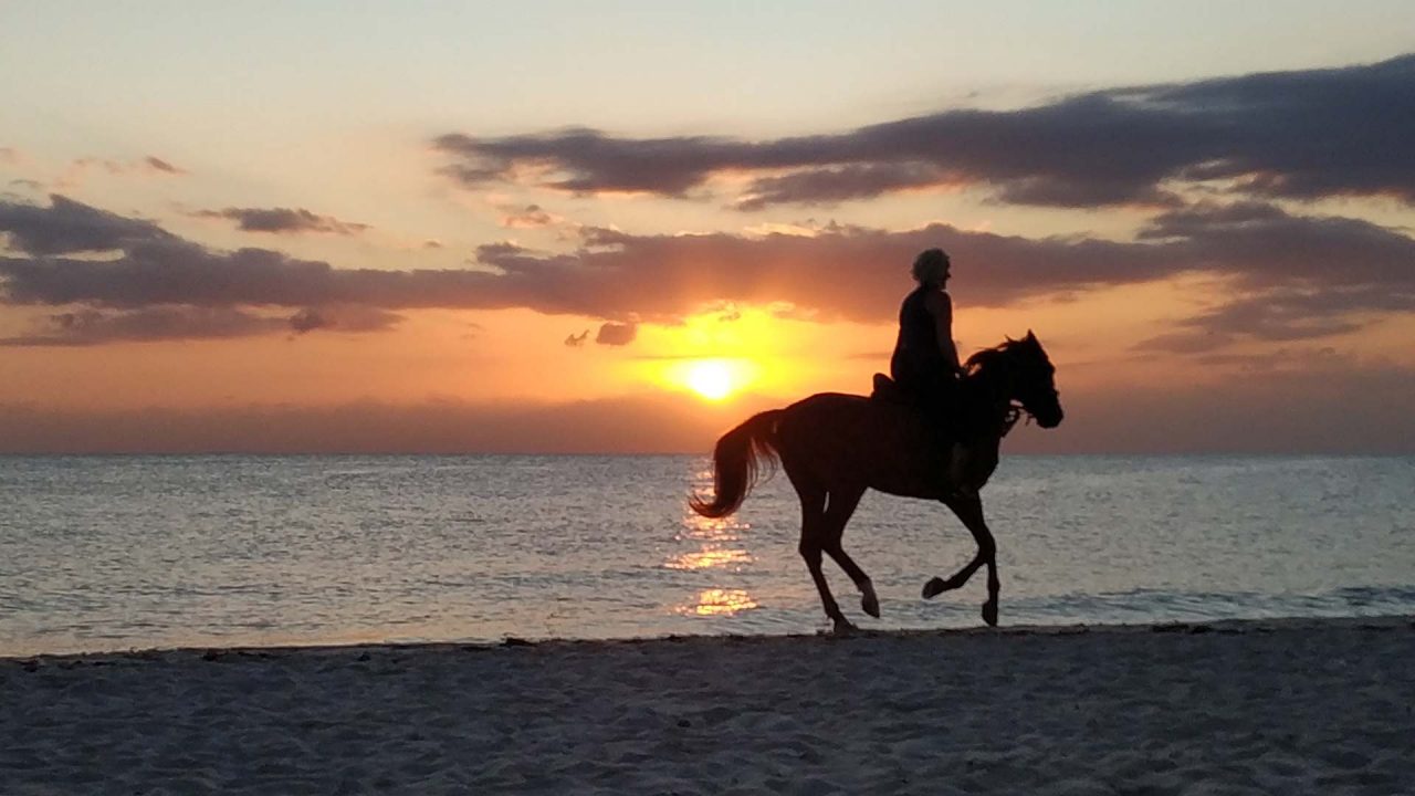 Horseback Riding in Los Cabos Mexico