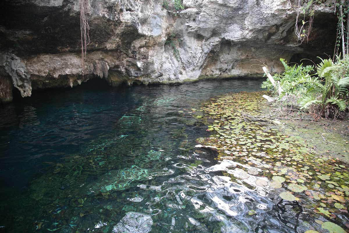 Visit this open-air cenote