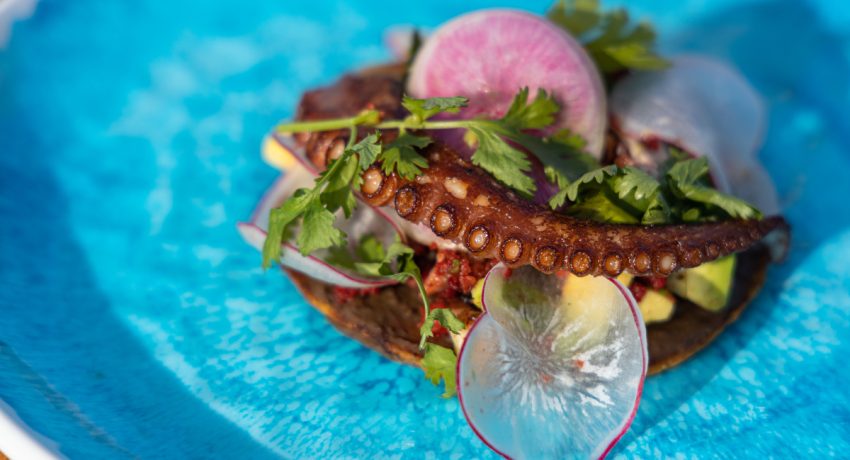 foodtruck-mexican-seafood-octopus