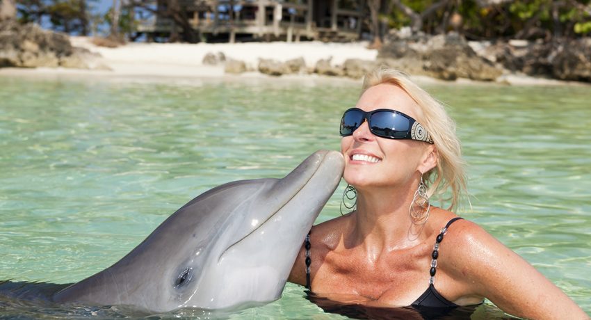 Swim with Dolphins in Puerto Vallarta