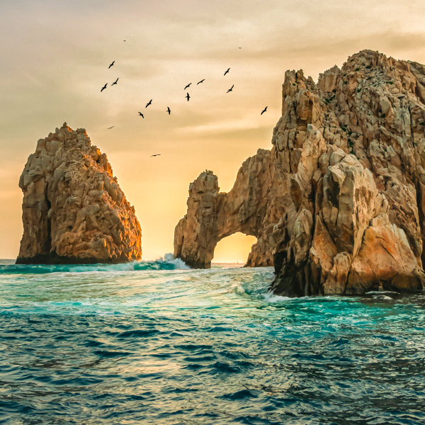 Descubre Los Cabos