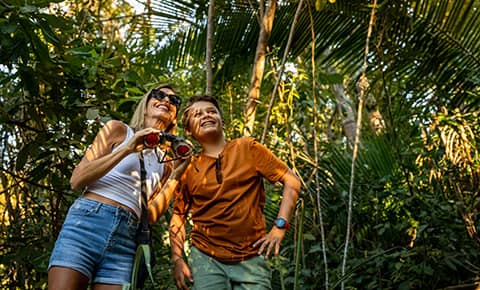 Hiking Tours