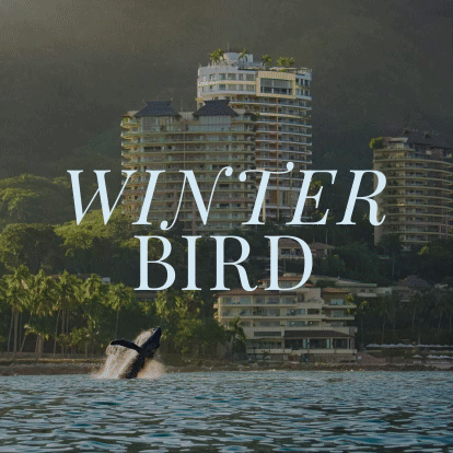 Winter Sale