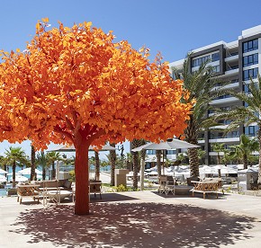 Distinctly modern, yet exquisitely timeless, Garza Blanca Resort & Spa Los Cabos emanates contemporary flare within a relaxed yet sleek atmosphere.
