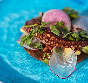 Gallery with the best images of Garza Blanca Resort & Spa Cancun restaurants: Blanca Blue restaurant, Hiroshi, Bocados Steak House, The snack and Food truck.