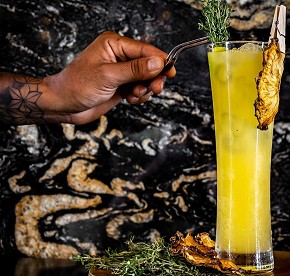 Gallery with the best images of Garza Blanca Resort & Spa Cancun restaurants: Blanca Blue restaurant, Hiroshi, Bocados Steak House, The snack and Food truck.