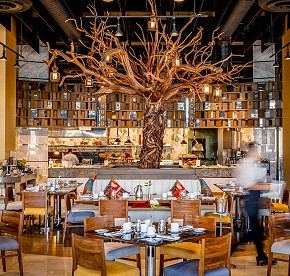 Gallery with the best images of Garza Blanca Resort & Spa Cancun restaurants: Blanca Blue restaurant, Hiroshi, Bocados Steak House, The snack and Food truck.