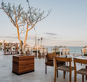 Foodies and serious restaurant critics alike will love the culinary options available at Garza Blanca Los Cabos.
