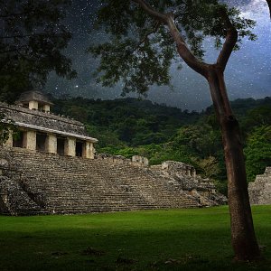 Pyramids Ancient City of Palenque