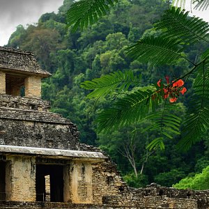 The Ruins of Ancient Mayan City Palenque