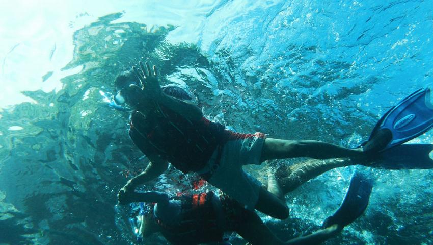 Activity Photo