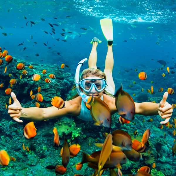 Deportes Los Cabos