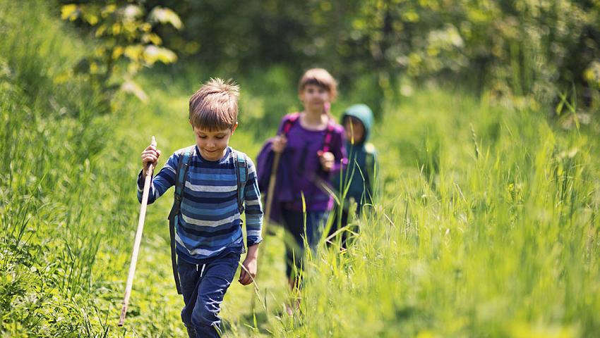 mini hiking