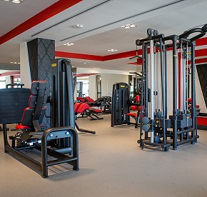 The Gym
