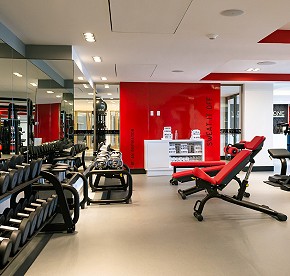 The Gym