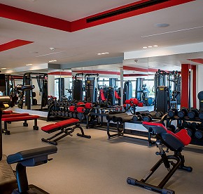 The Gym