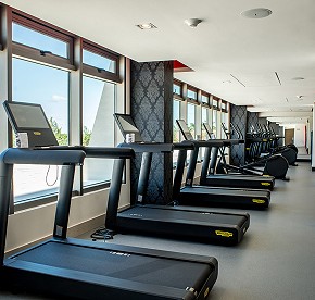 The Gym