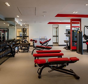The Gym