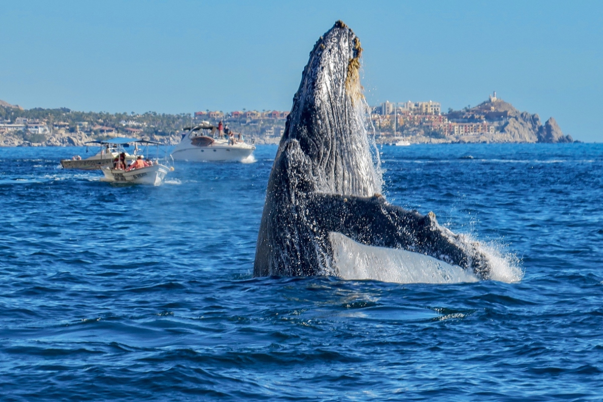 Puerto-Vallarta