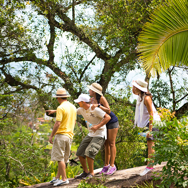 Actividades en el Resort