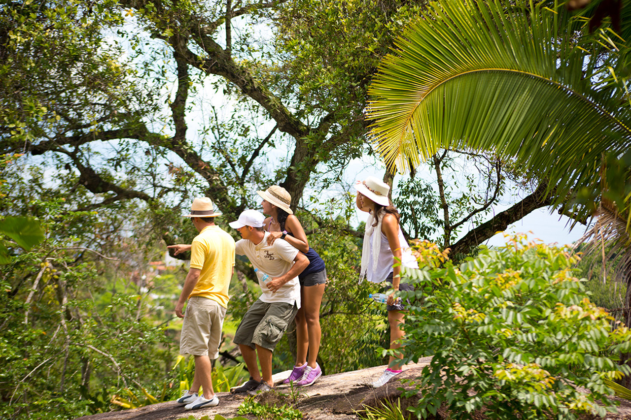 Resort Activities